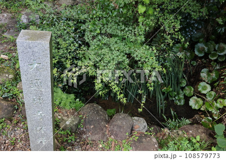 大通寺 城藪稲荷と盃井戸 大通寺 城藪稲荷と盃井戸 108579773