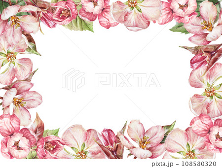 Pink Flower Frame border. Watercolor botanical illustration of apple and cherry tree blossom. Hand drawn sakura bloom on white background. Drawing of spring bouquet. Greeting card copy space Pink Flower Frame border. Watercolor botanical illustration of apple and cherry tree blossom. Hand drawn sakura bloom on white background. Drawing of spring bouquet. Greeting card copy space 108580320