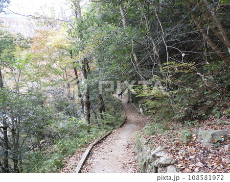 三段峡の美しい風景　11月 108581972