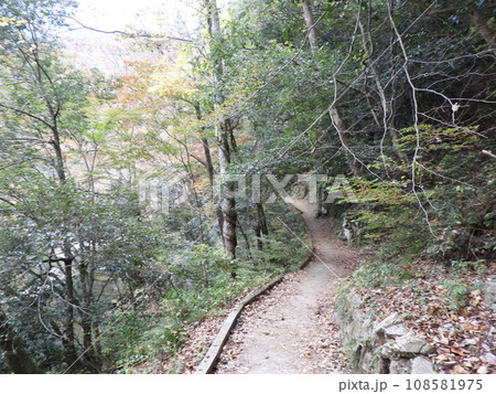 三段峡の美しい風景　11月 108581975