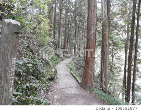 三段峡の美しい風景　11月 108581977
