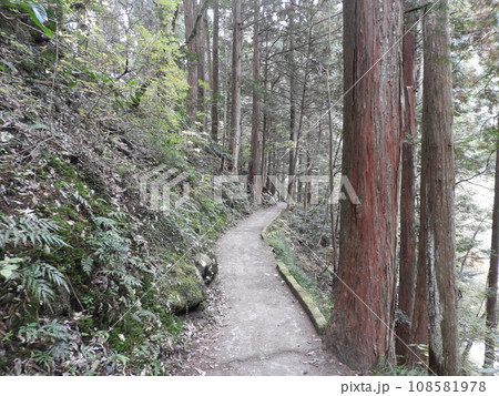 三段峡の美しい風景 11月 三段峡の美しい風景 11月 108581978
