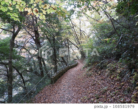 三段峡の美しい風景　11月 108581979