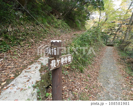 三段峡の美しい風景　11月 108581981