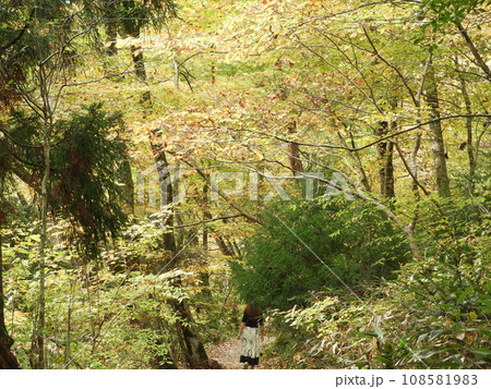 三段峡の美しい風景　11月 108581983