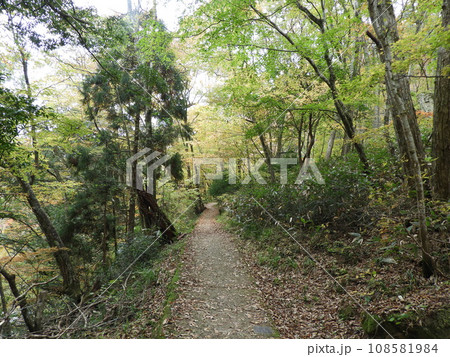 三段峡の美しい風景　11月 108581984
