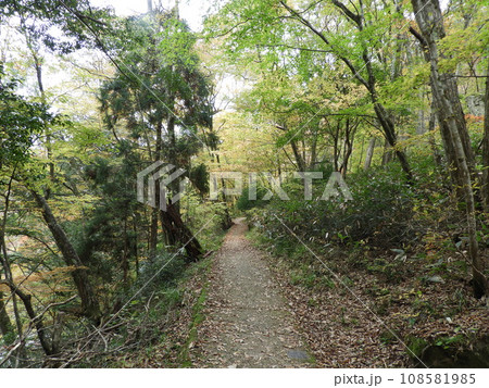 三段峡の美しい風景　11月 108581985