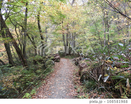 三段峡の美しい風景　11月 108581988