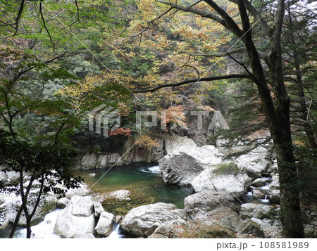 三段峡の美しい風景　11月 108581989