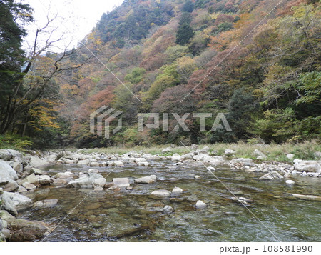 三段峡の美しい風景 11月 三段峡の美しい風景 11月 108581990