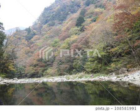 三段峡の美しい風景　11月 108581991