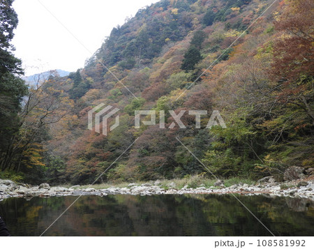 三段峡の美しい風景　11月 108581992