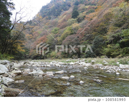三段峡の美しい風景　11月 108581993