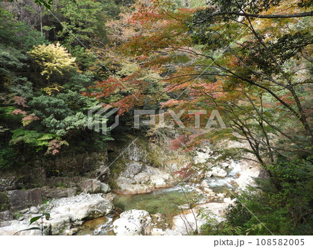 三段峡の美しい風景 11月 三段峡の美しい風景 11月 108582005