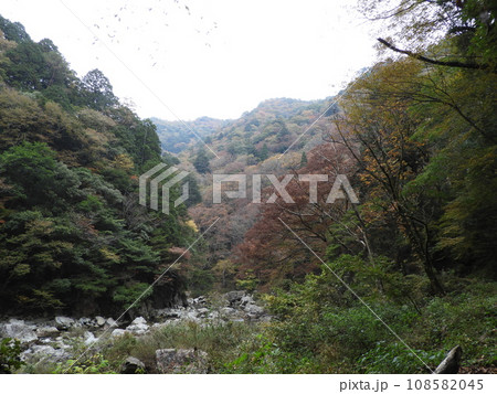 三段峡の美しい風景　11月 108582045