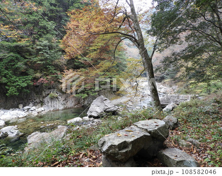 三段峡の美しい風景　11月 108582046