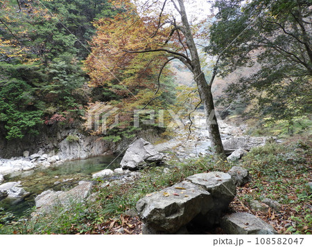 三段峡の美しい風景　11月 108582047