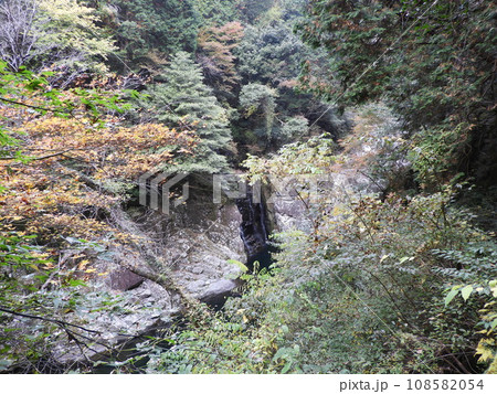 三段峡の美しい風景 11月 三段峡の美しい風景 11月 108582054