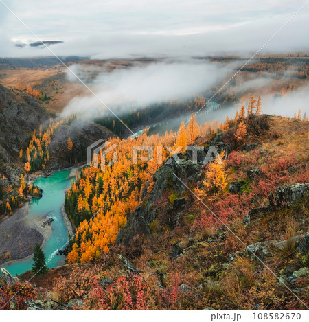 Colorful view to autumn mountain valley with forest and river against mountain range under cloudy sky. Wide mountain valley in mist and large mountains in lush clouds in changeable weather. 108582670