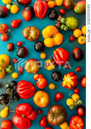 Tomatoes on an emerald green background 108583049