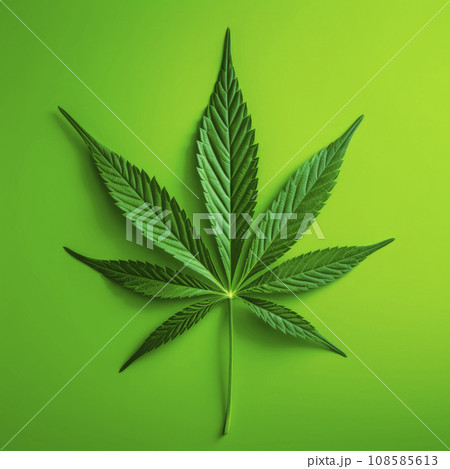 A cannabis leaf on a bright background. Minimalism. 108585613