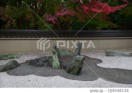 東福寺の紅葉 108586138