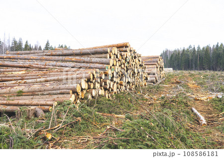 deforestation for roads, wood harvesting, wood as a renewable biological resource, deforestation area for highways, construction of toll roads, land acquisition for the construction of a major road deforestation for roads, wood harvesting, wood as a renewable biological resource, deforestation area for highways, construction of toll roads, land acquisition for the construction of a major road 108586181