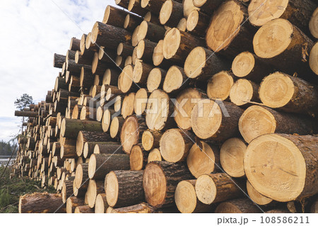 deforestation for roads, wood harvesting, wood as a renewable biological resource, deforestation area for highways, construction of toll roads, land acquisition for the construction of a major road deforestation for roads, wood harvesting, wood as a renewable biological resource, deforestation area for highways, construction of toll roads, land acquisition for the construction of a major road 108586211