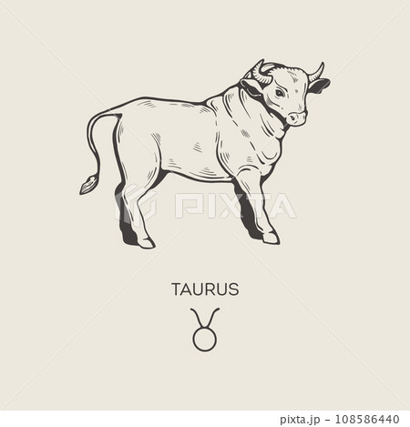 Taurus zodiac symbol, hand drawn のイラスト素材 [108586440] - PIXTA