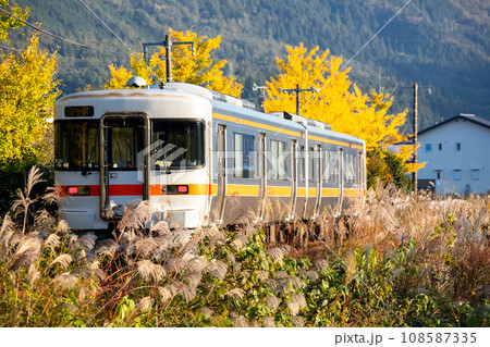 【高山本線】すすきとイチョウ並木を通過する普通列車 【高山本線】すすきとイチョウ並木を通過する普通列車 108587335