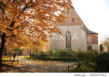 Autumn landscape - autumn city park with fallen yellow autumn leaves and autumn trees Autumn landscape - autumn city park with fallen yellow autumn leaves and autumn trees 108587381