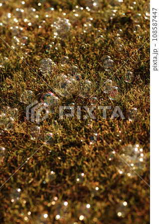 soap bubbles on the grass. selective focus. 108587447