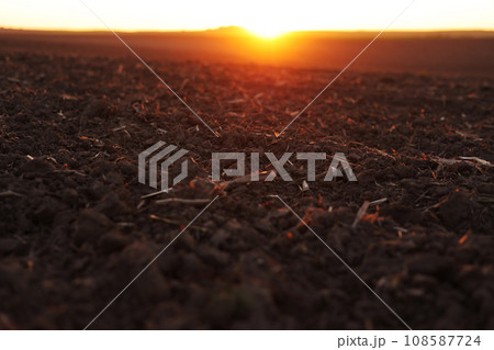Agriculture and agribusiness concept. Beautiful rural landscape view of large plowed agricultural field of black soil on orange sunset. Preparation farmland for sowing crops and planting vegetables. 108587724