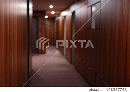 Empty dark interior of the modern Hotel corridor, with wood-paneled walls, elegant carpets and lighting on the ceiling. 108587748