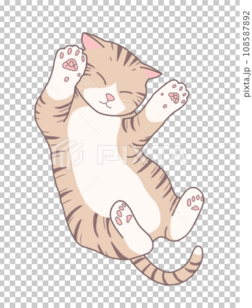Tabby cat sleeping on his back 108587892