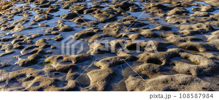 Rocky Shore on the Pacific Ocean Coast. Sunny Sunset. Nature Background 108587984