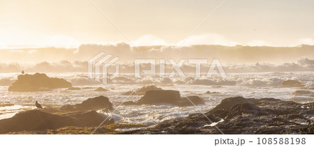 Rocky Shore on the Pacific Ocean Coast. Sunny Sunset. Nature Background Rocky Shore on the Pacific Ocean Coast. Sunny Sunset. Nature Background 108588198