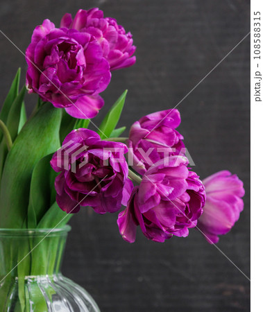 bouquet of dark red lilac tulips in glass vase on dark background. flower bouquet in vase on table bouquet of dark red lilac tulips in glass vase on dark background. flower bouquet in vase on table 108588315