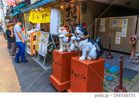 東京　台東区　谷中にある 谷中銀座（商店街） 108588555