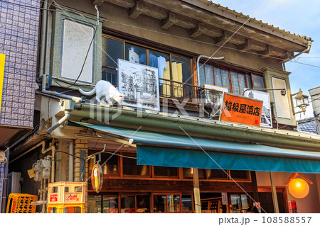 東京 台東区 谷中にある 谷中銀座(商店街) 東京 台東区 谷中にある 谷中銀座(商店街) 108588557