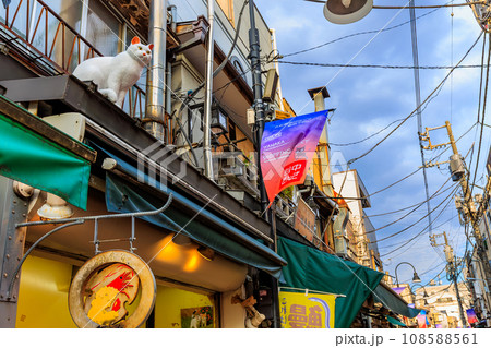 東京　台東区　谷中にある 谷中銀座（商店街） 108588561