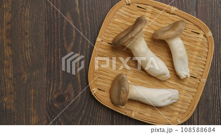 エリンギ エリンギ 108588684