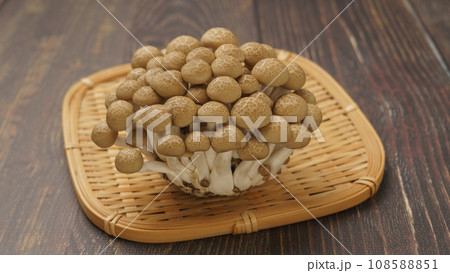 ぶなしめじ ぶなしめじ 108588851