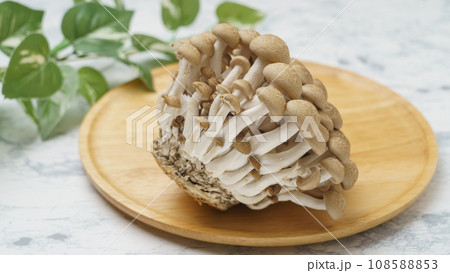 ぶなしめじ 108588853