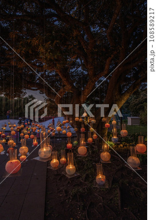 江ノ島　サムエルコッキング園　キャンドル　神奈川県藤沢市 108589217