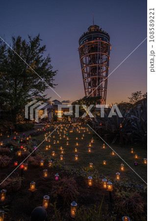 江ノ島　サムエルコッキング園　キャンドル　神奈川県藤沢市 108589221