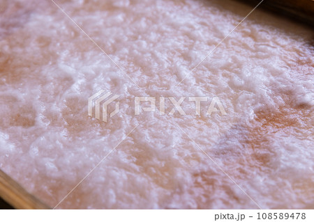 紙すき体験をする子ども 紙すき体験をする子ども 108589478