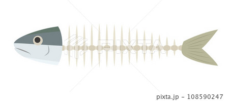 魚の骨のイラスト 魚の骨のイラスト 108590247