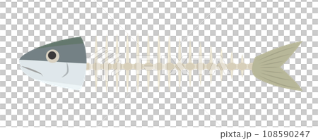 Illustration of fish bones Illustration of fish bones 108590247