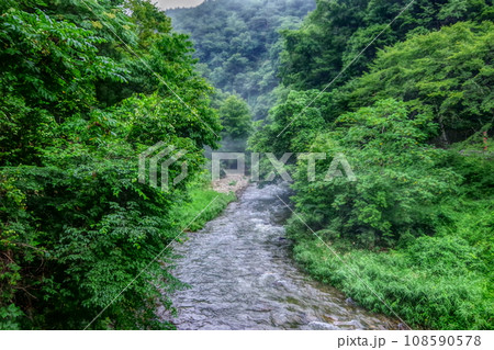 大沢温泉で森林浴をしてリラックス 108590578